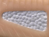 Adidas Yeezy Boost 350 V2 Antlia (Reflective)