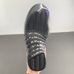 Air Jordan 12 Retro Black Dark Concord