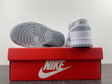 Nike Dunk Low Retro White Grey