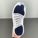 Air Jordan 12 Retro Indigo