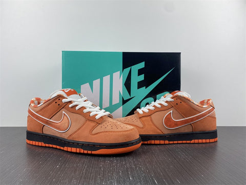 Nike SB – ShoesTerminal